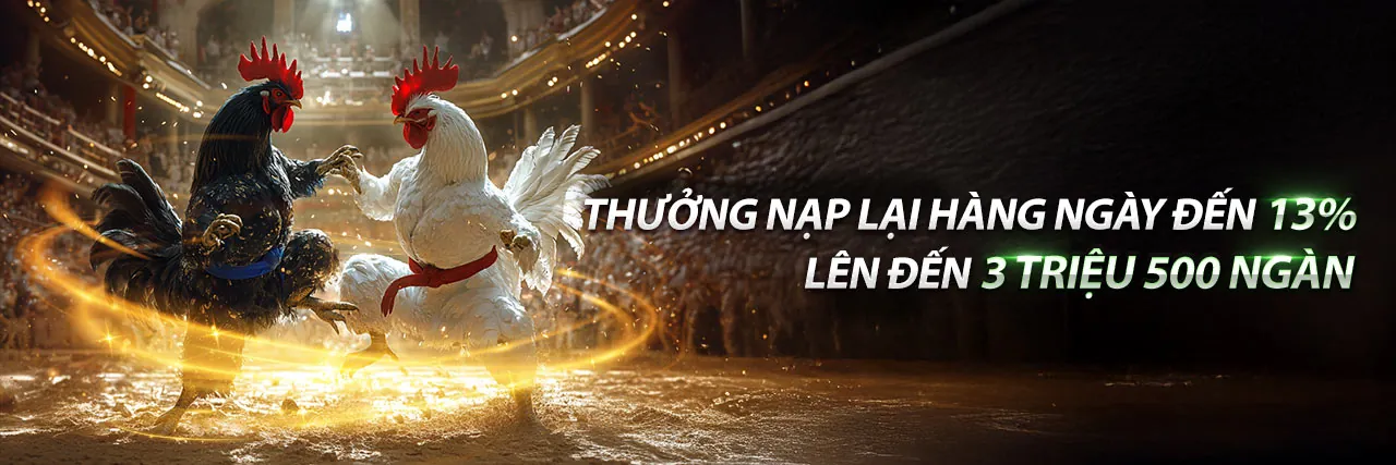 Đá Gà Trực Tiếp 666 - Sân đấu kịch tính